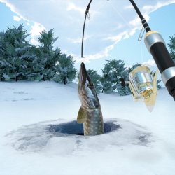 Overview of ice fishing live casino